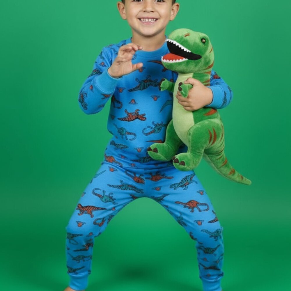 Blue Dinosaur Colorful Kids Pajama Set – Playful comfy PJs Andrew Scott NWT